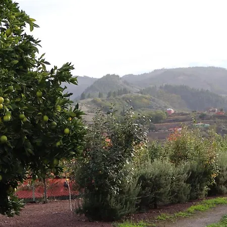 En San Mateo Las Palmas de Gran Canaria