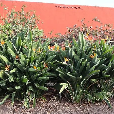En San Mateo Appartement Las Palmas de Gran Canaria