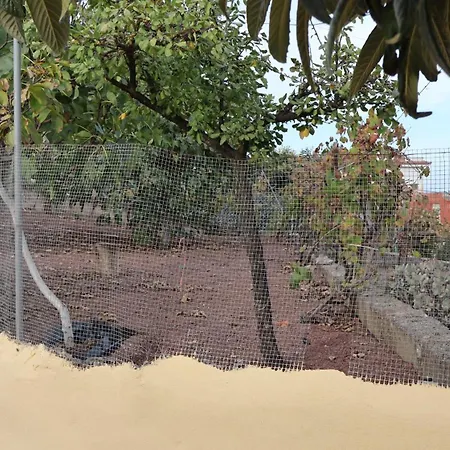 En San Mateo * Las Palmas de Gran Canaria